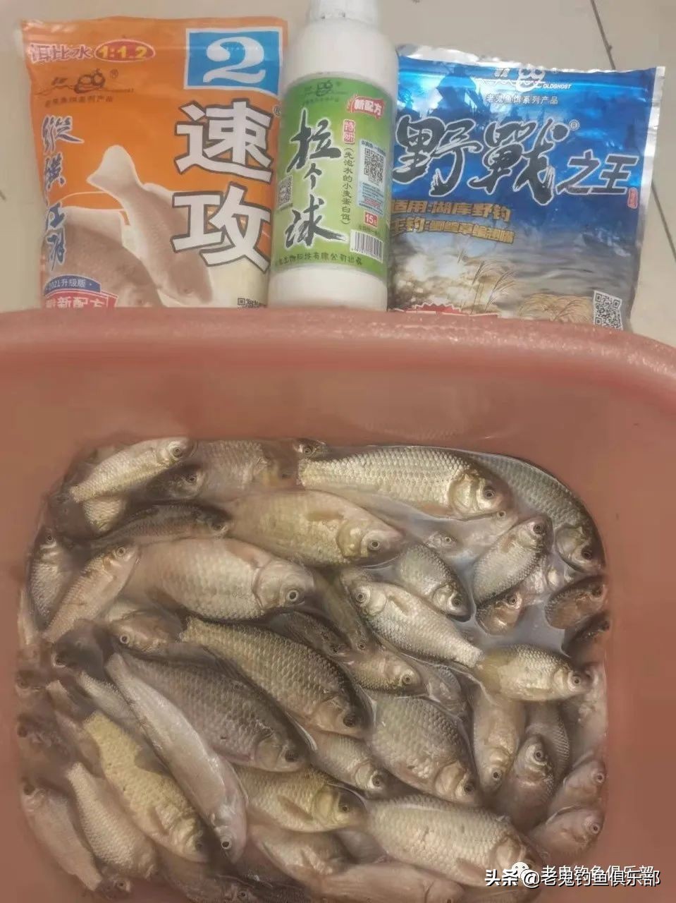 *战野**之王,饵如其名