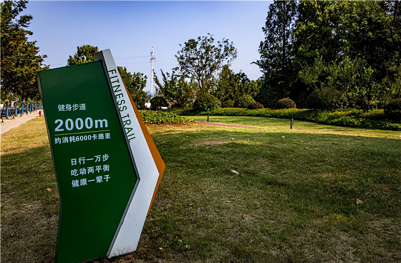 十大健身林荫步道,南京极美长江