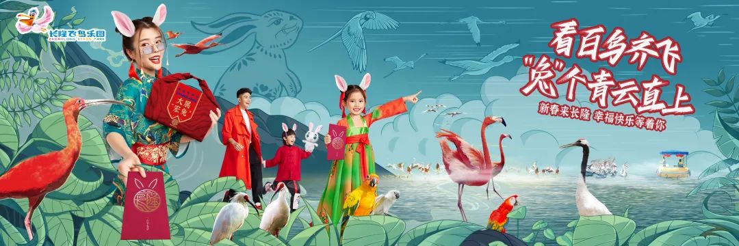 2020年春节长隆旅游攻略,11月广州长隆旅游攻略