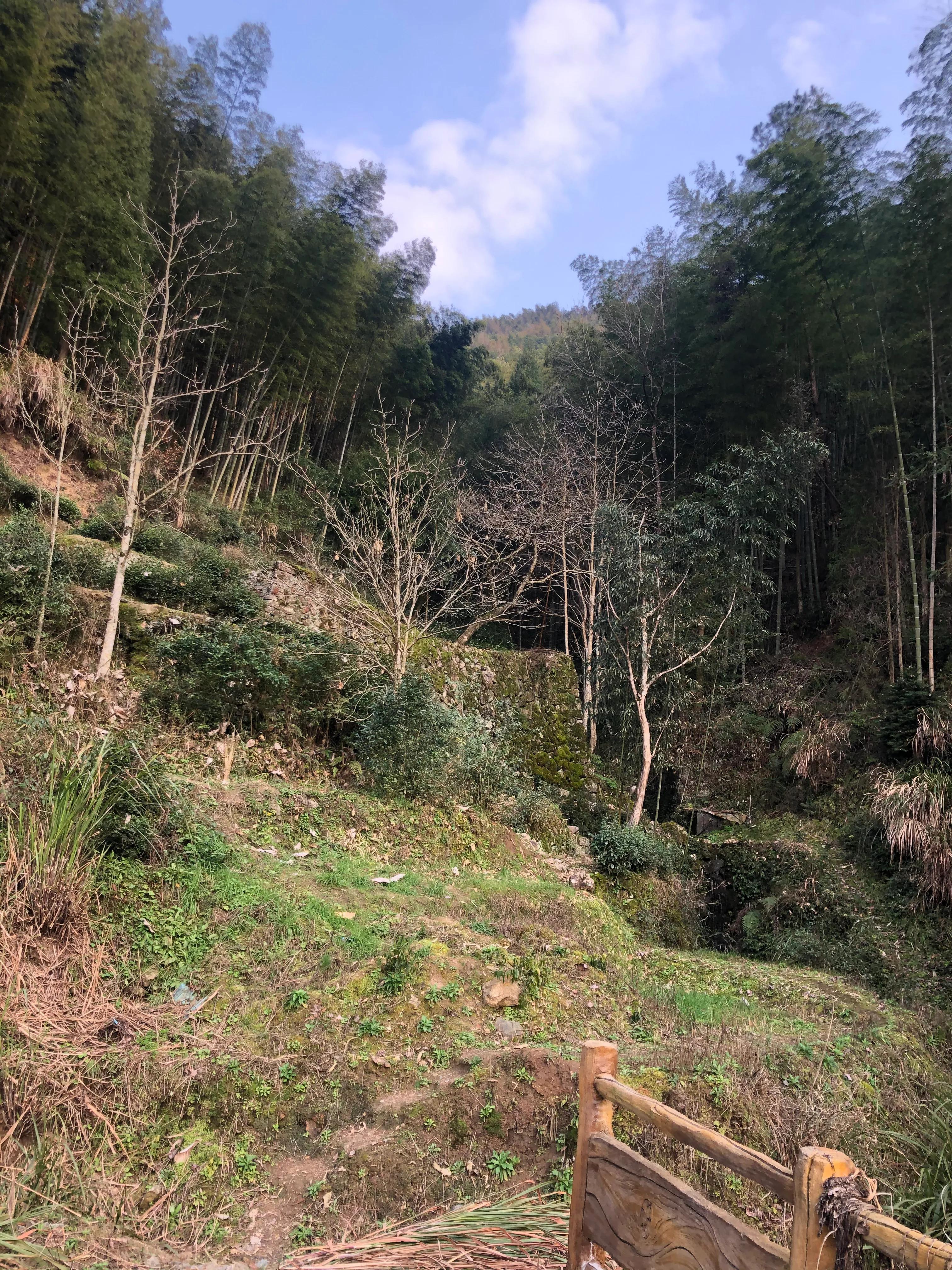 畲寨东弄田园综合体团购,畲寨东弄田园综合体好玩吗