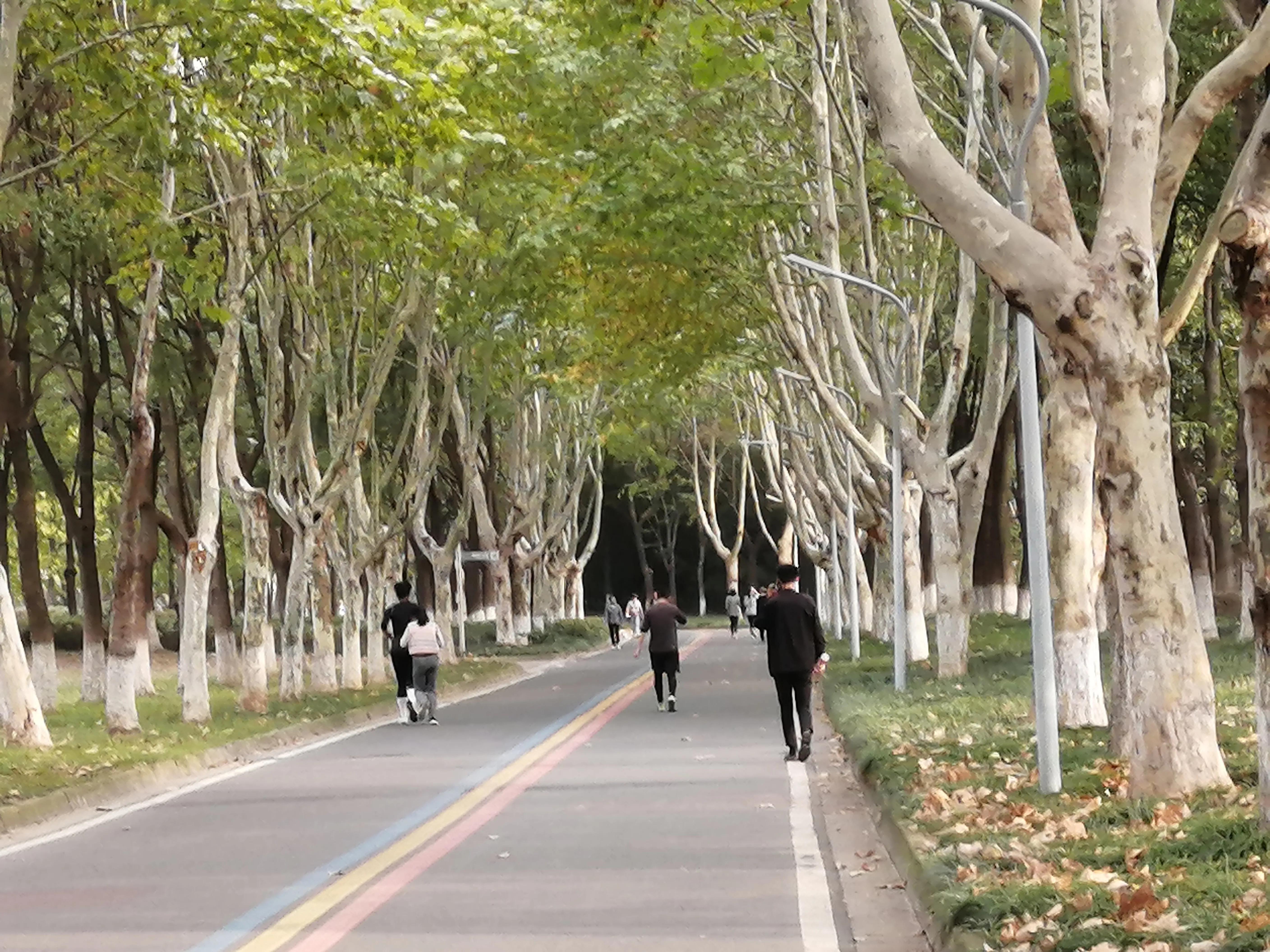 欢乐的海洋歌曲原唱,这里将成为欢乐的海洋