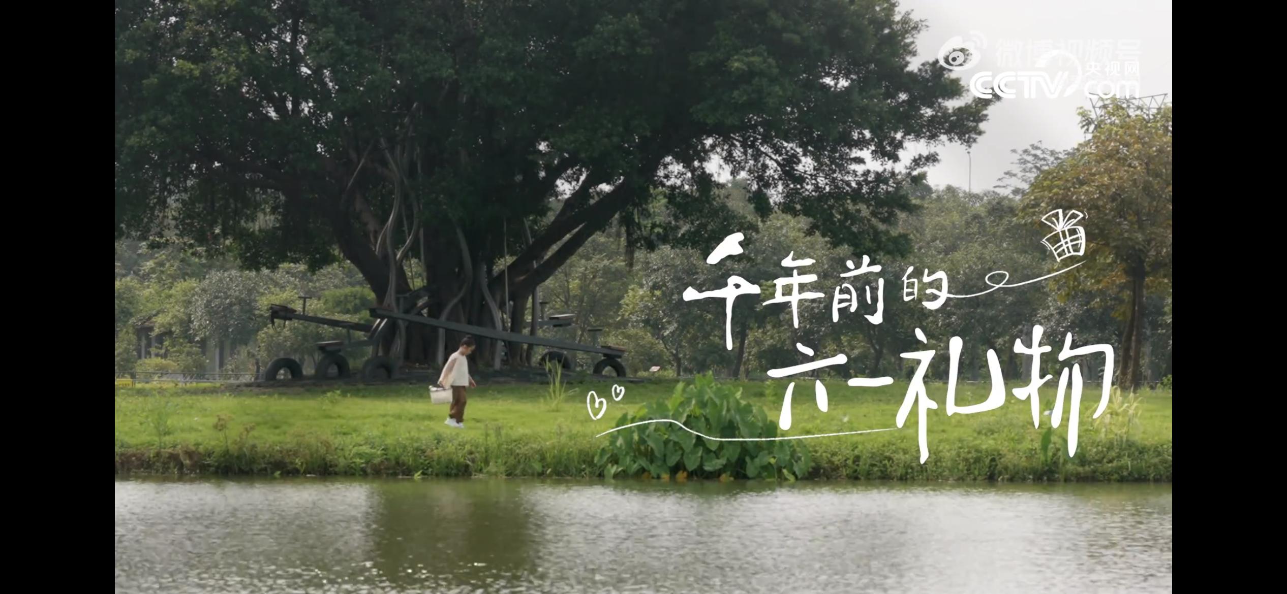 广告推荐2022年新广告,2020年全国最佳广告