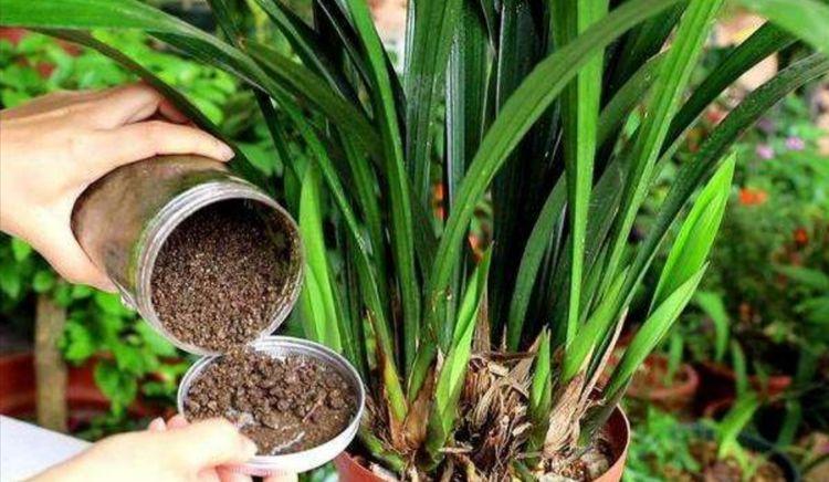 酸性水浇花改善土壤板结,用什么水浇花土壤不会板结