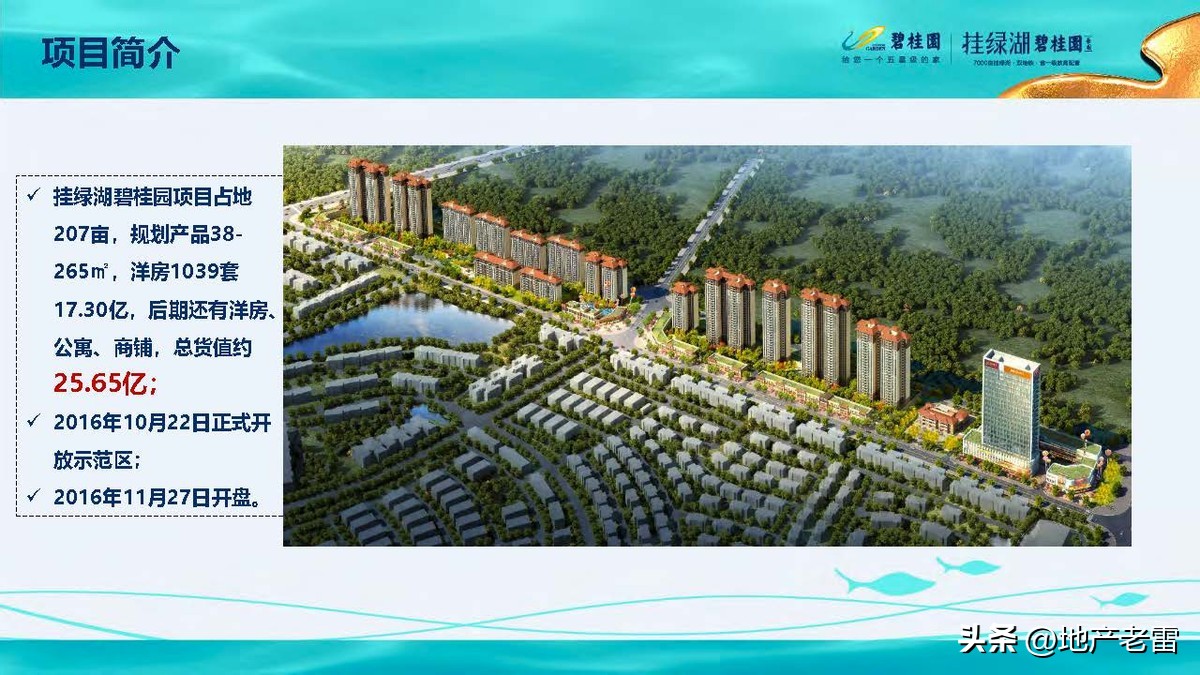 碧桂园精准发展方案,碧桂园的商品房改造方案