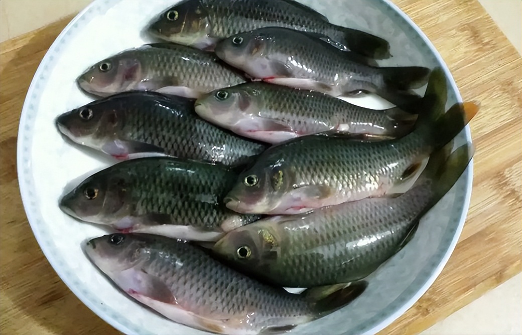 稻田养鱼一年收益多少,稻田养鱼怎么养效益高