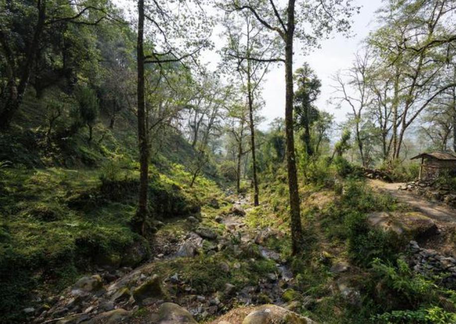 18天内7人集体自杀，背后的“约死群”群主：看别人死，我快乐！