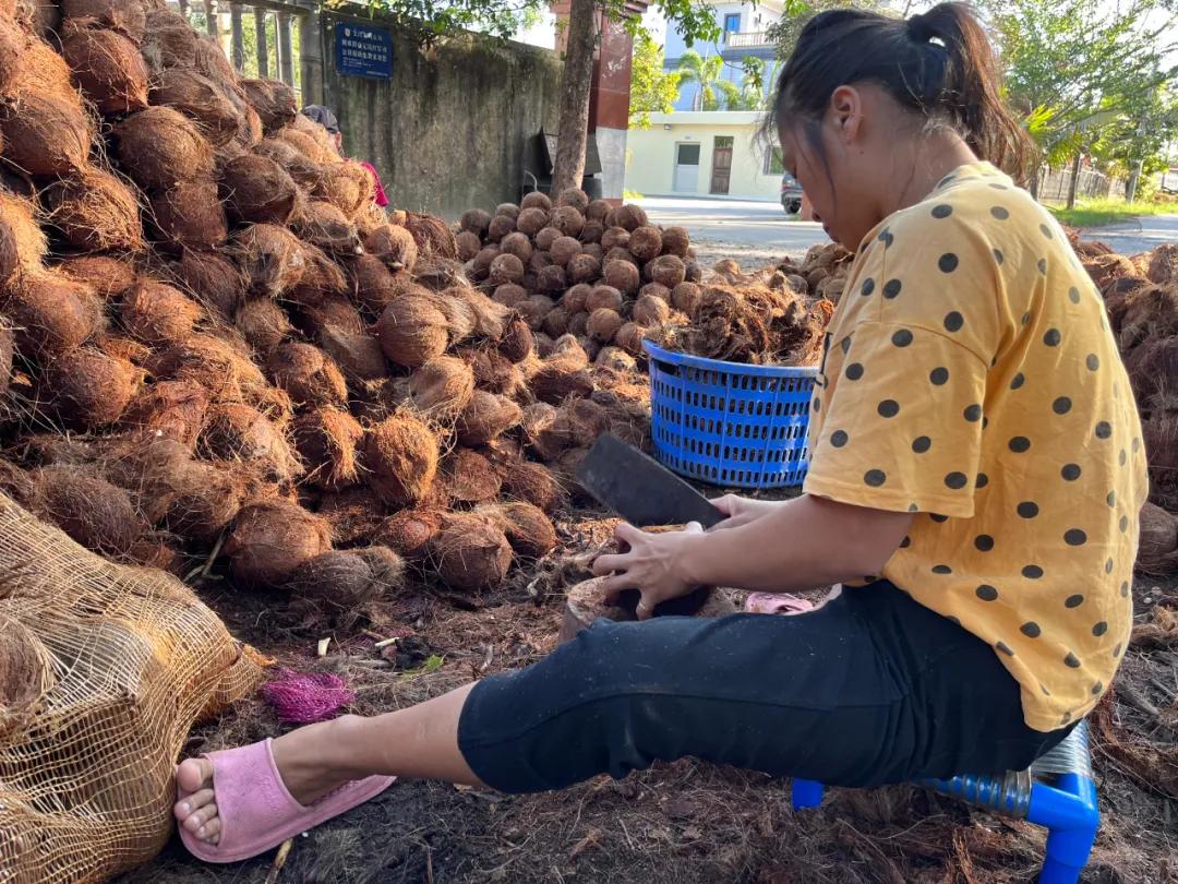 去海南探访椰子潮流背后的秘密,去海南要知道什么