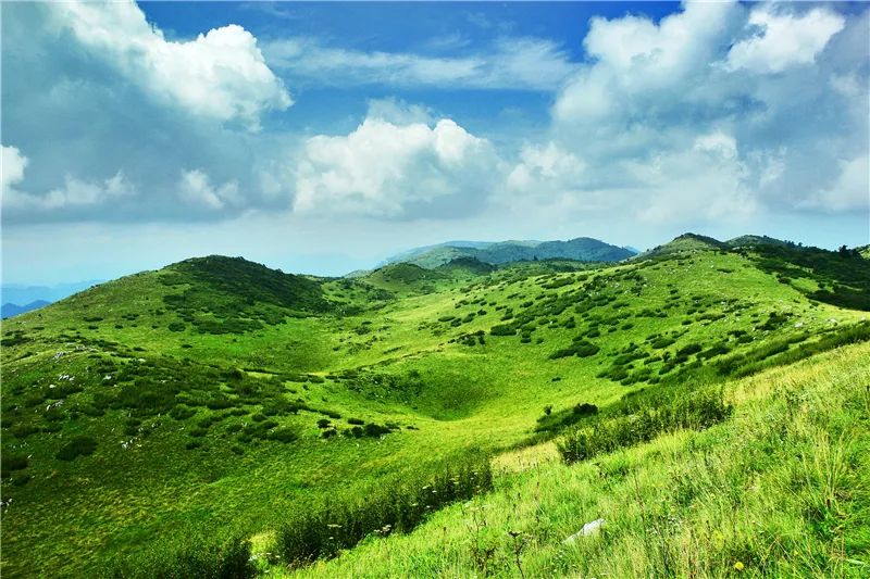 五一小长假汉中两天出游攻略,五一汉中自驾旅行攻略