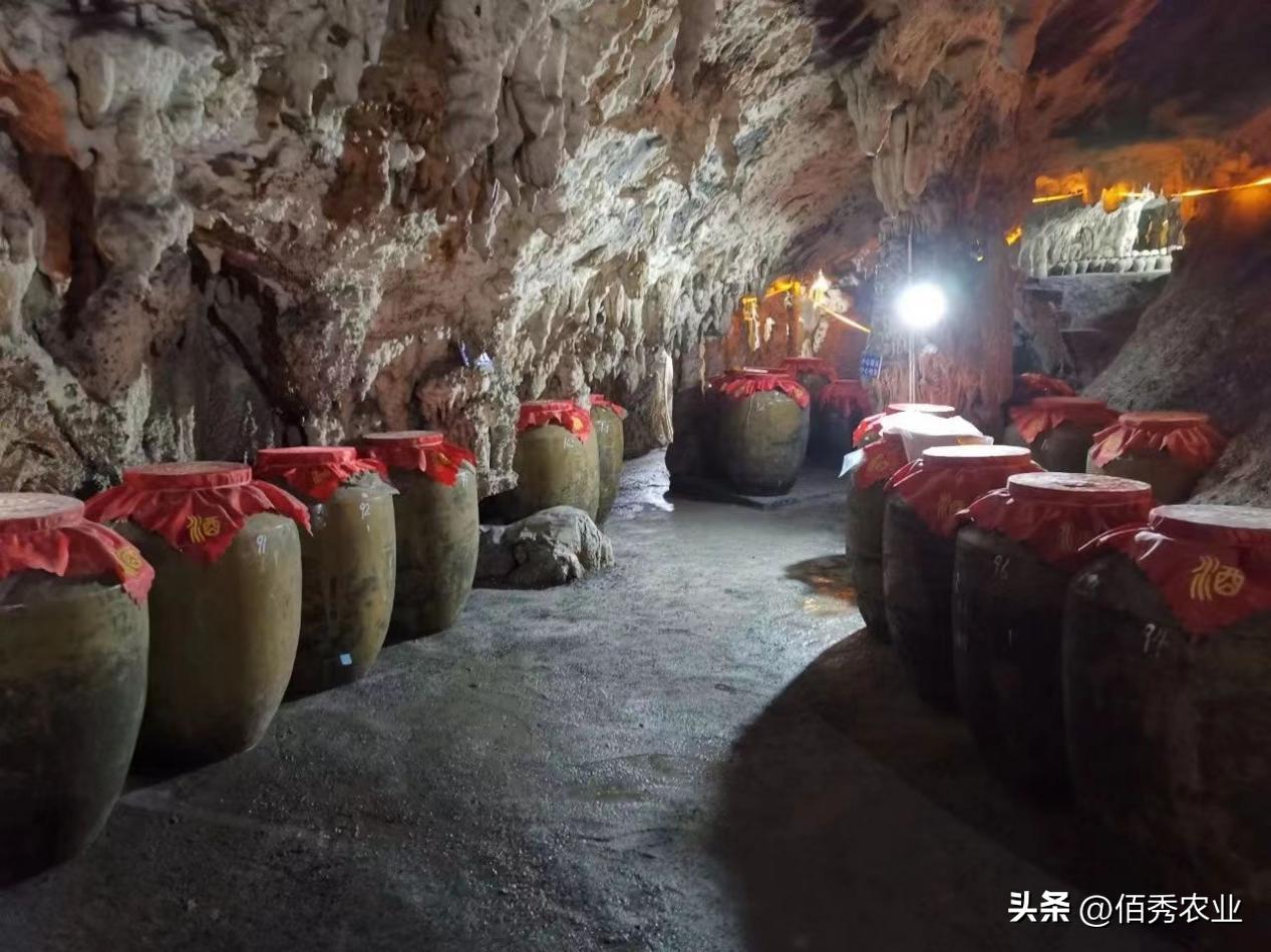 52度白酒存放十年过期吗,42度白酒时间长了会过期吗