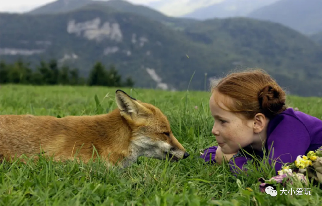 精心盘点五部冷门治愈电影,推荐几部让你笑喷的经典高分电影