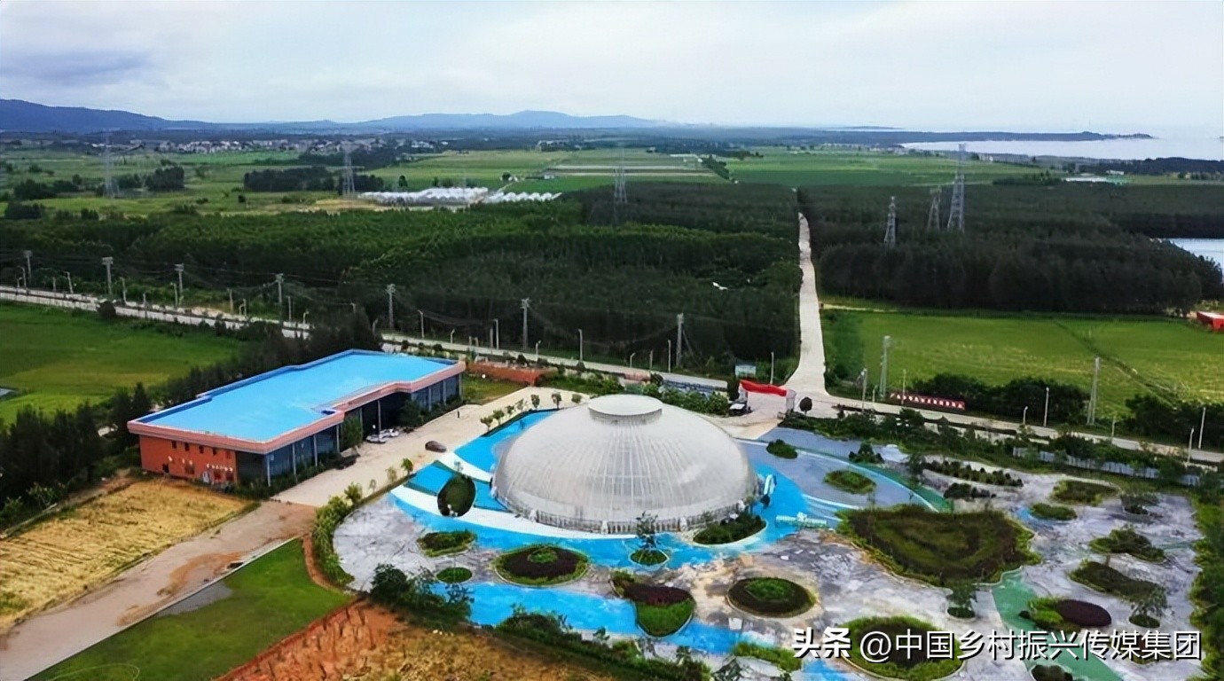 2022乡村振兴扶持项目方案,2023年乡村振兴项目补贴申报指南