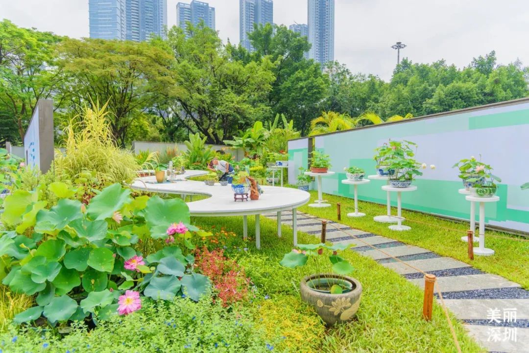 深圳人游玩推荐,深圳人爬山看海