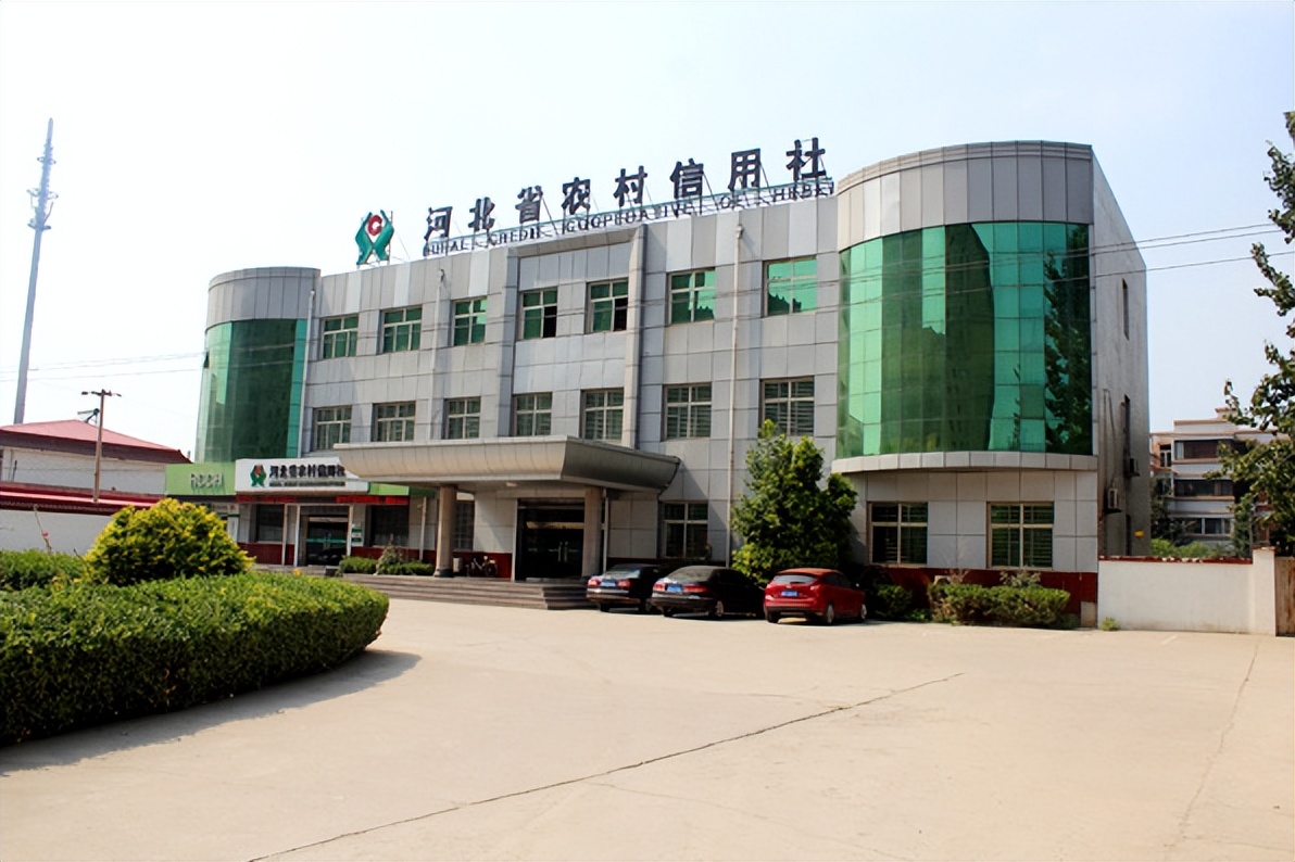 未来农村信用社前景如何,农村信用社容易被风控吗