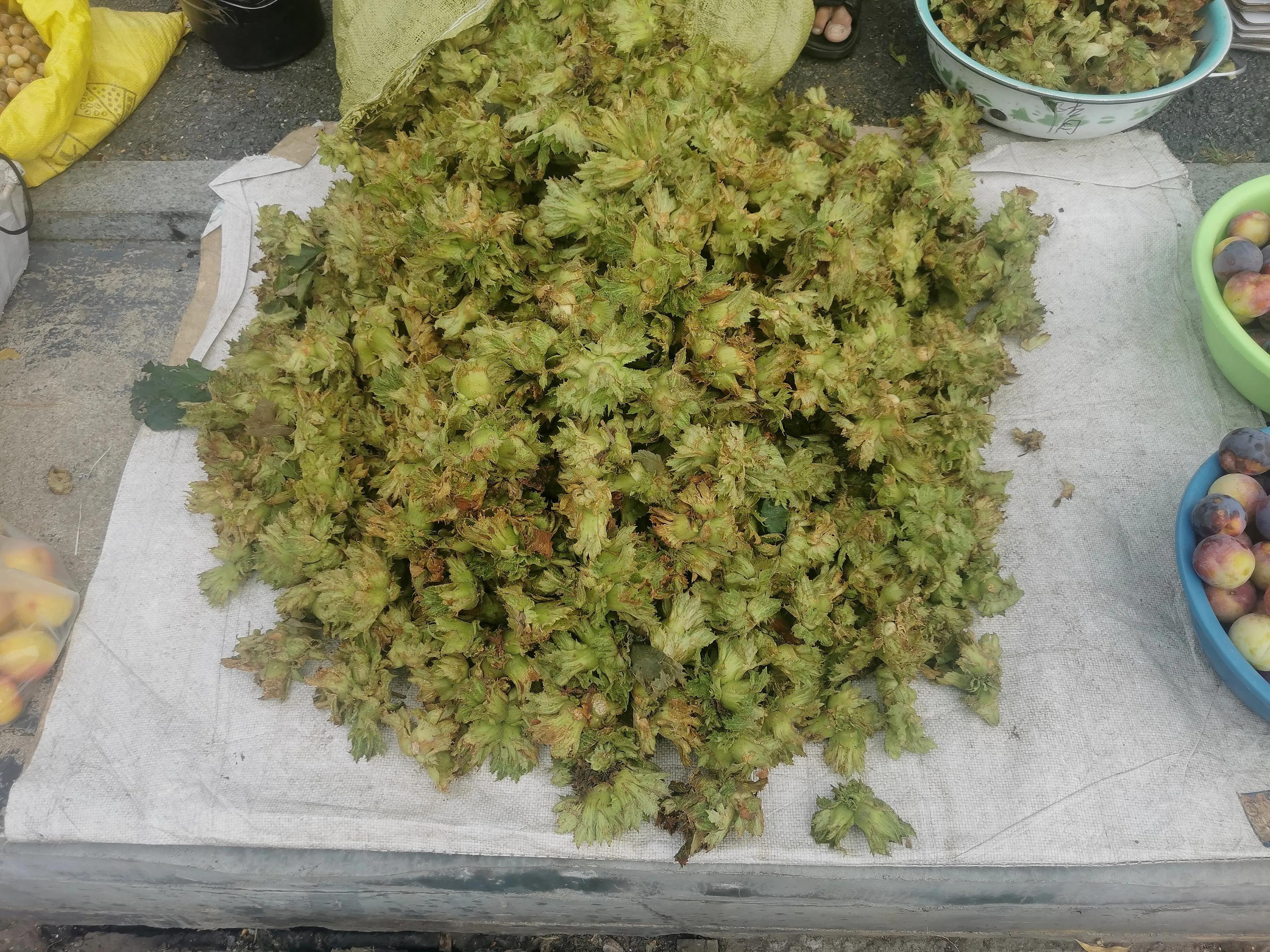 中国申请高句丽世界文化遗产遗址,高句丽历史文化遗址