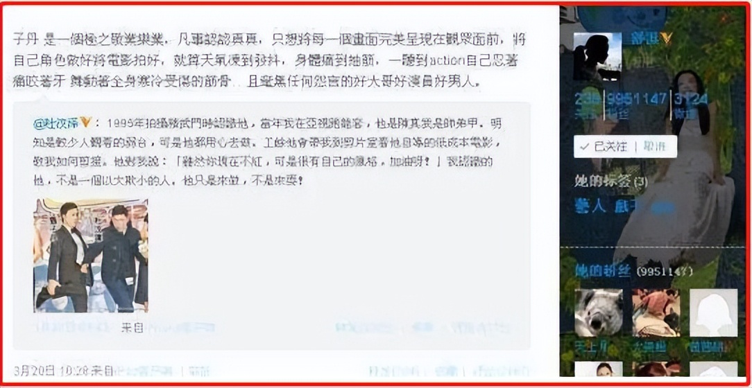 舒淇从堕落天使到实力影后,舒淇拿过几个影后