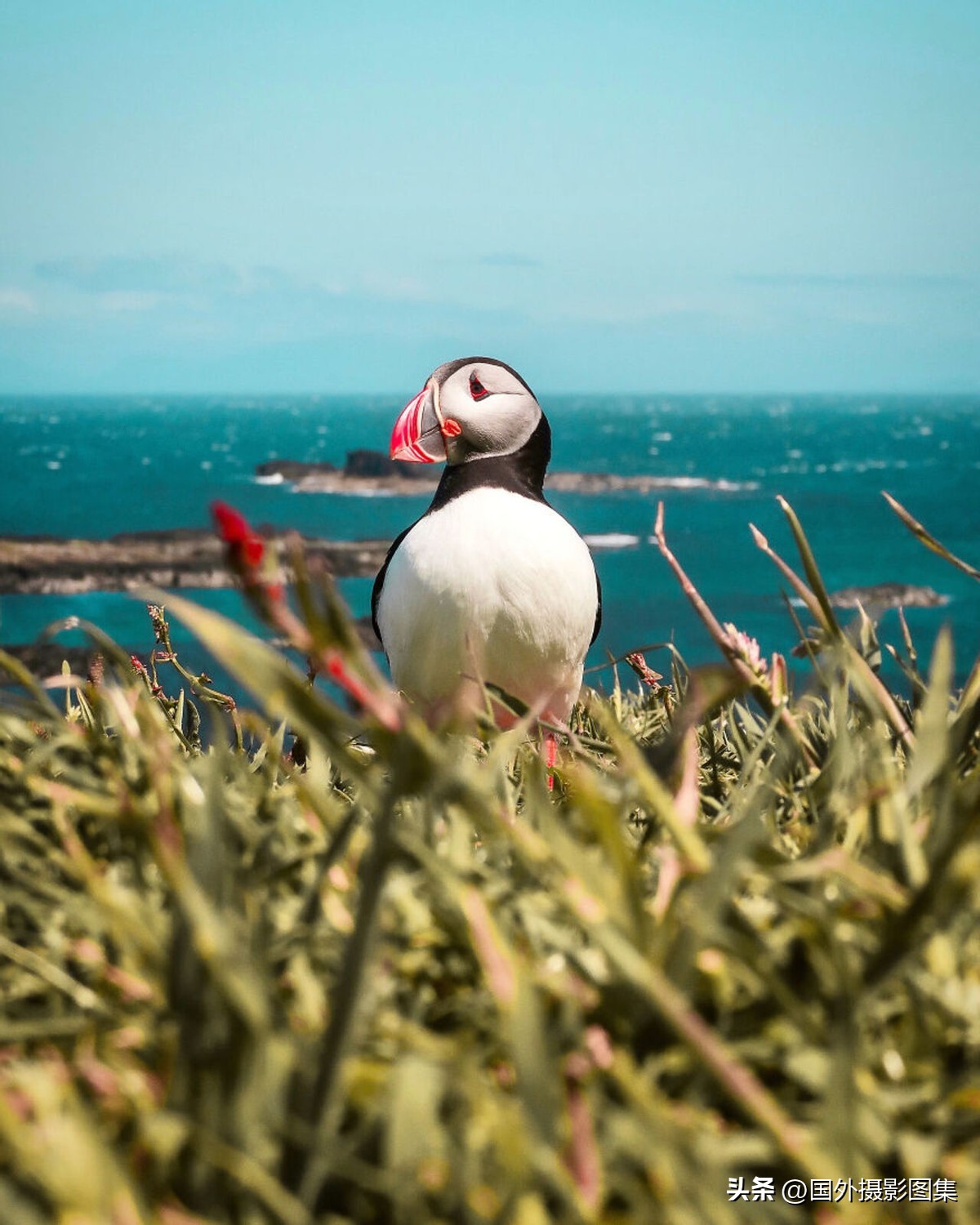 世界顶级唯美人像摄影师,世界顶级自然摄影师作品