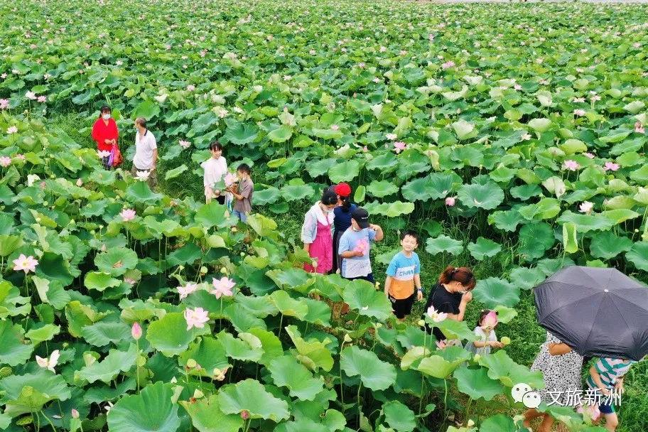 2022新洲文旅精彩不断，2023诗与远方步履不停