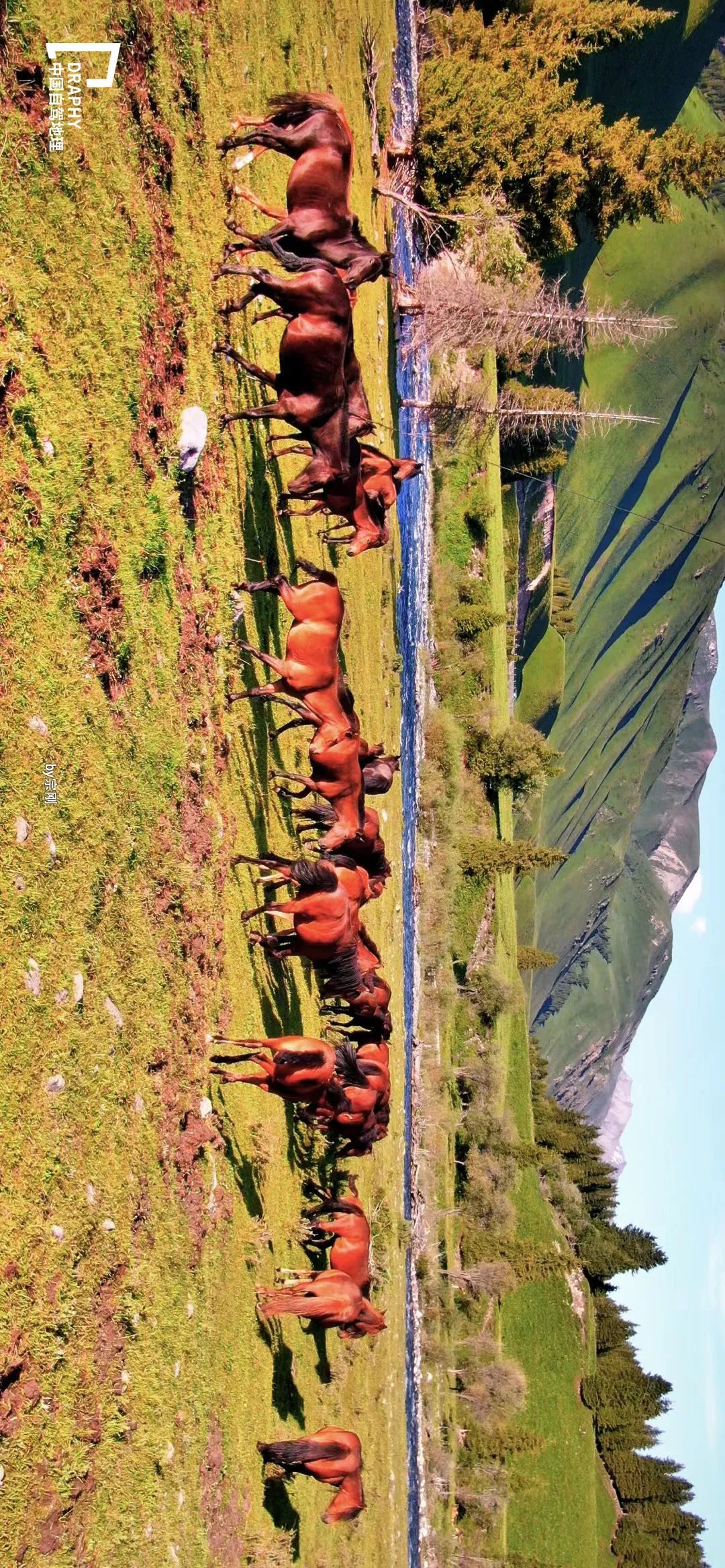 国内自驾最美10条景观大道,中国最美景观大道自驾