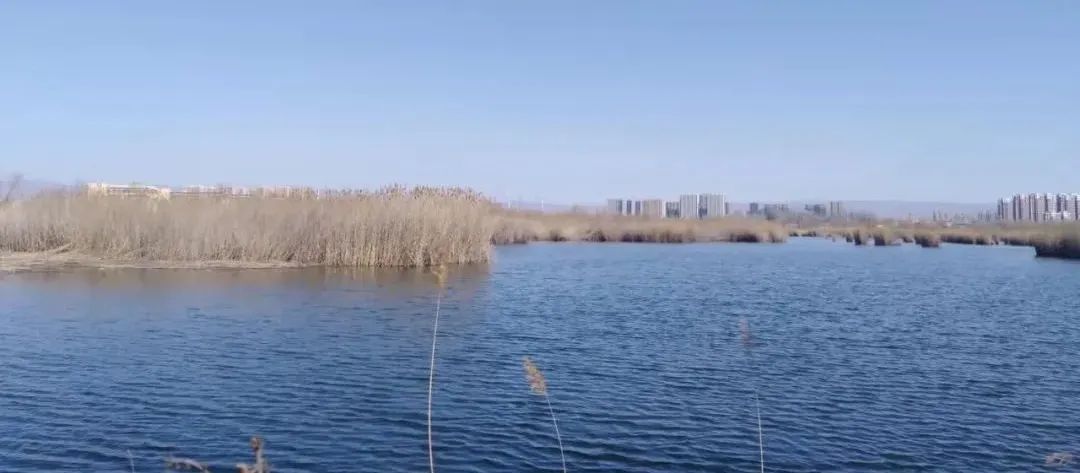 原创|2022迟到的春天之约