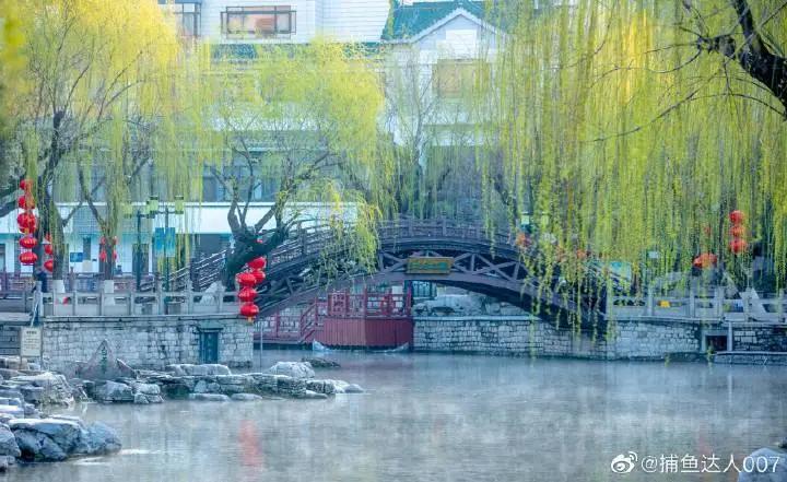 济南的春天来了吗,济南春天来了
