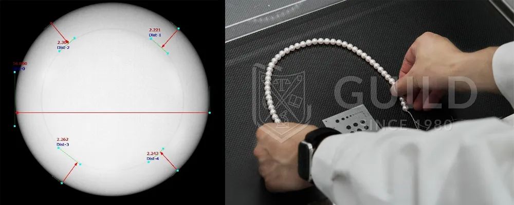 珍珠guild证书怎么看,大溪地黑珍珠鉴定证书