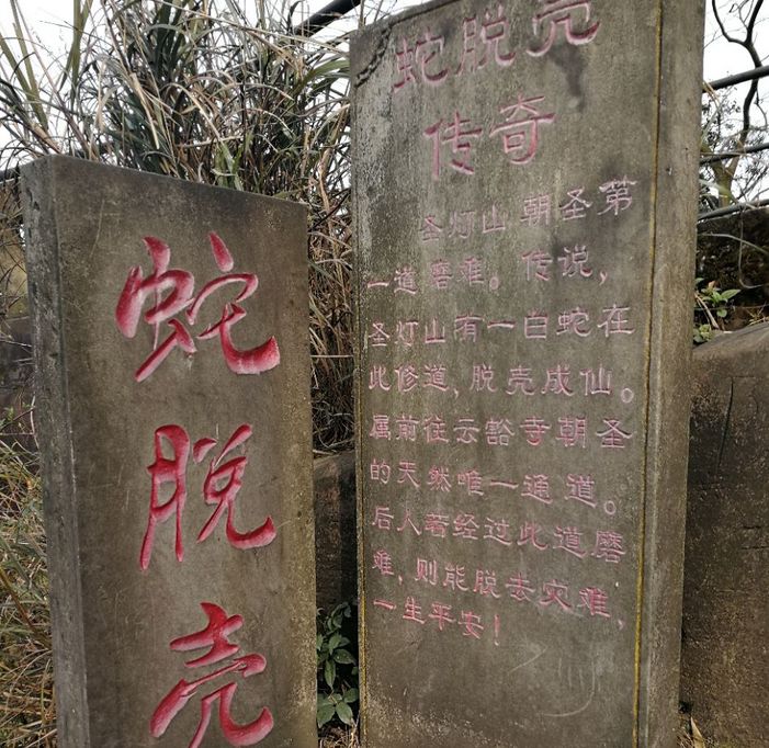 重庆主城小众打卡地,重庆周边小众自驾旅游