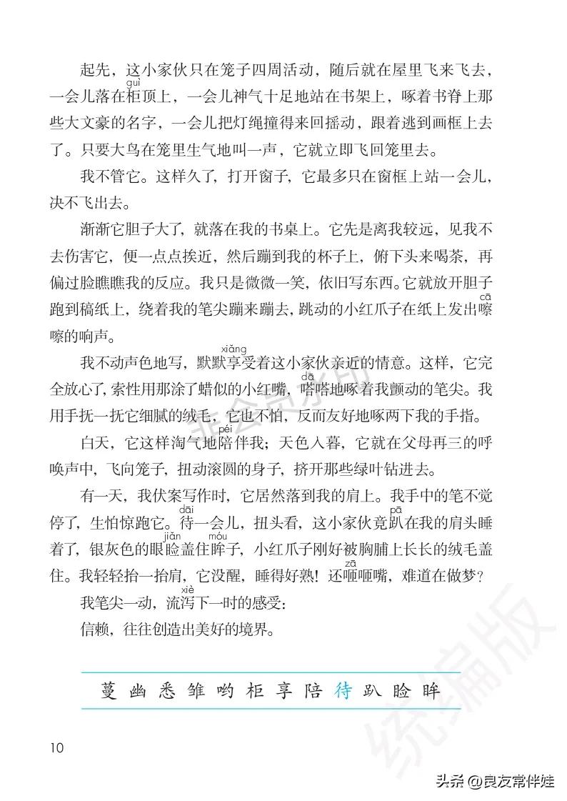 五年级上册语文电子课本,五年级上册语文教材分析