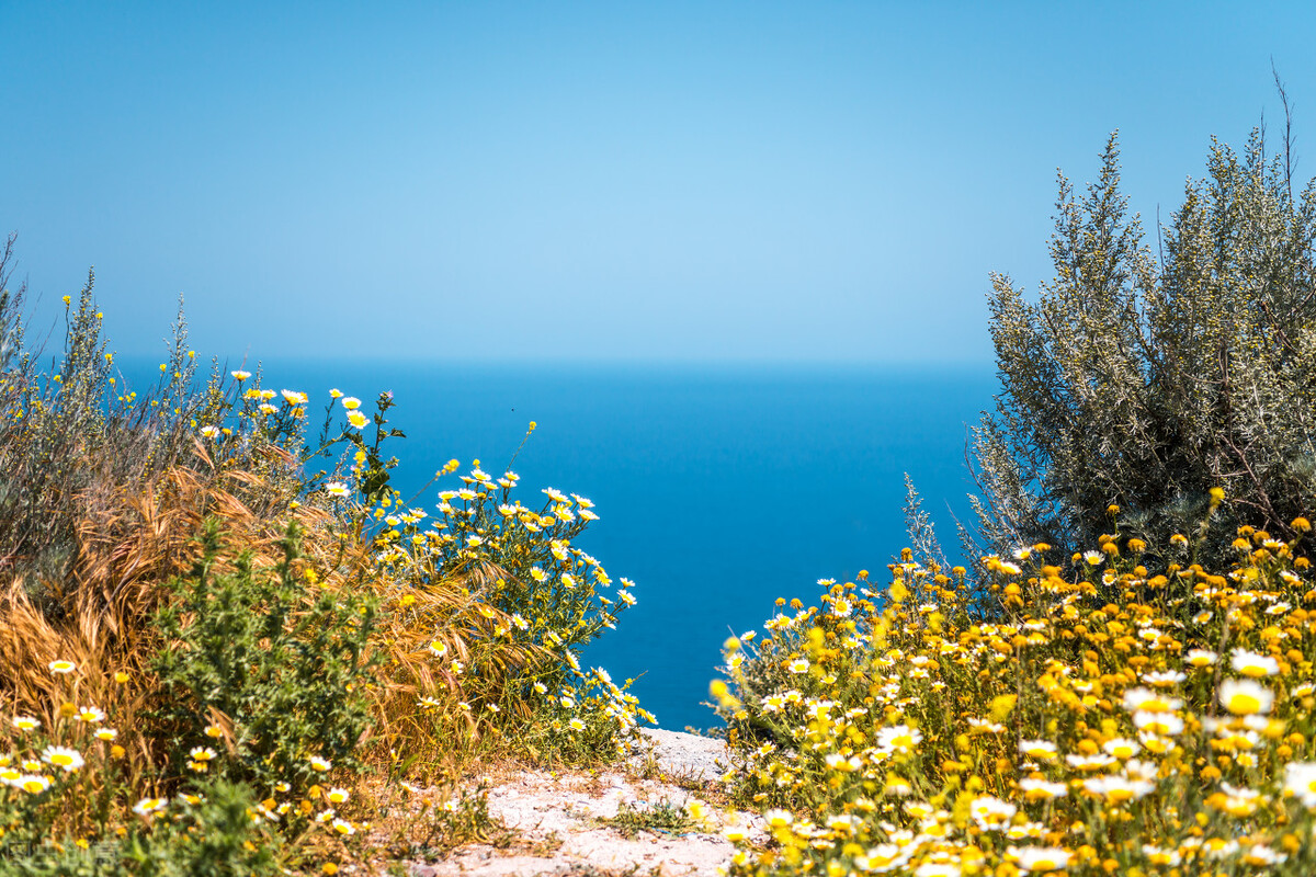 唐诗中有禅意的诗句,禅意七绝108首诗