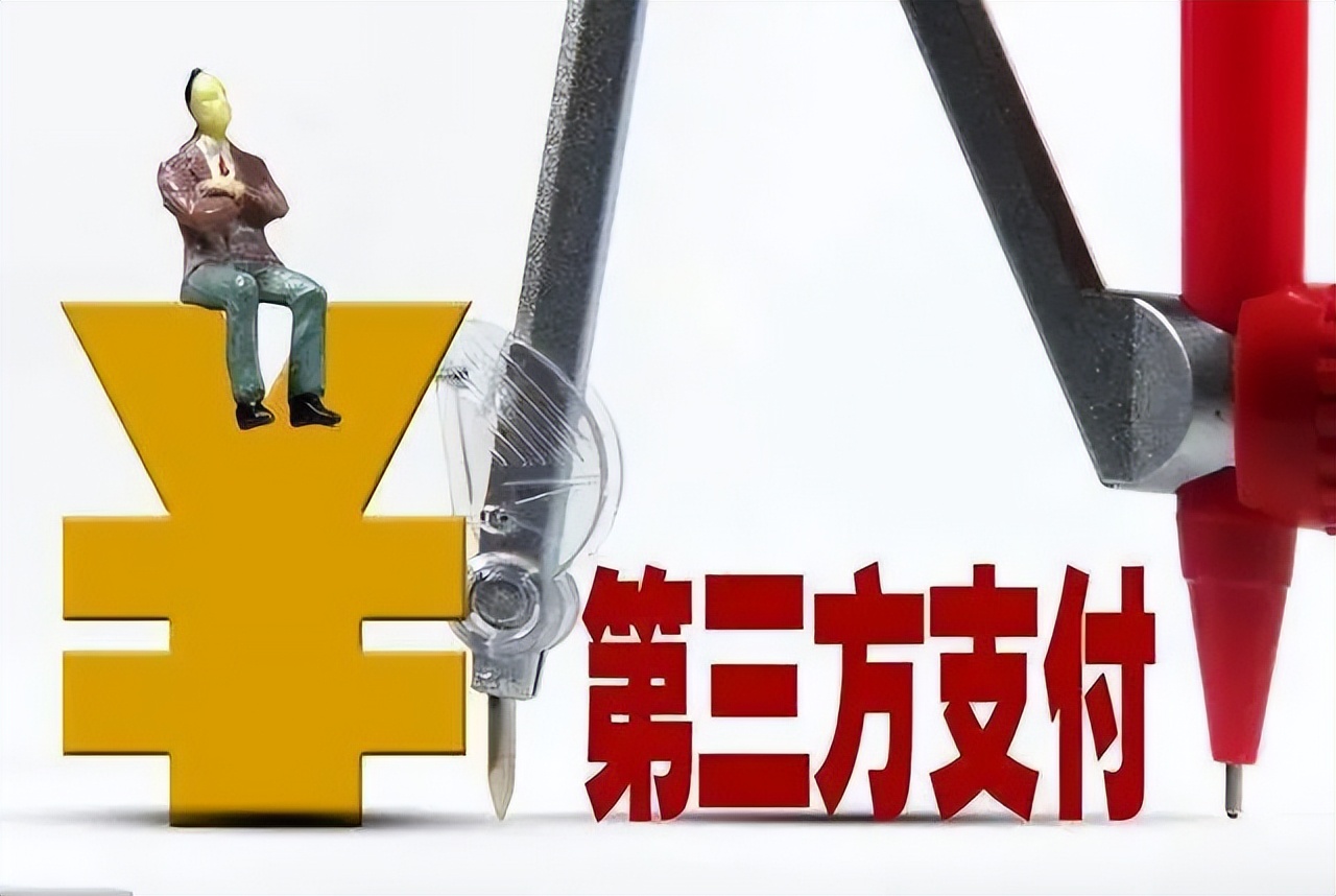 第三方支付机构面临哪些风险,支付公司的困局
