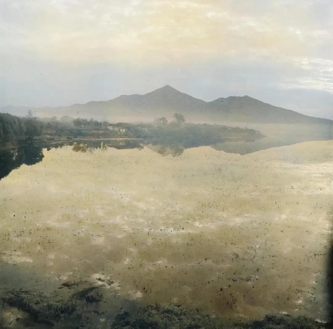 日军日记：男人饿倒在地，为了救他，我将他妻子的乳房割给他吃!