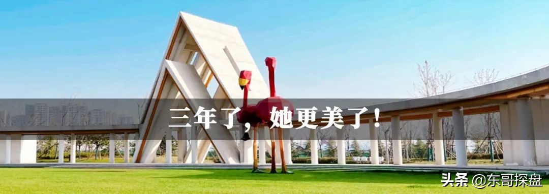 郑州平均月薪7697元你拖后腿了吗,郑州平均工资12000