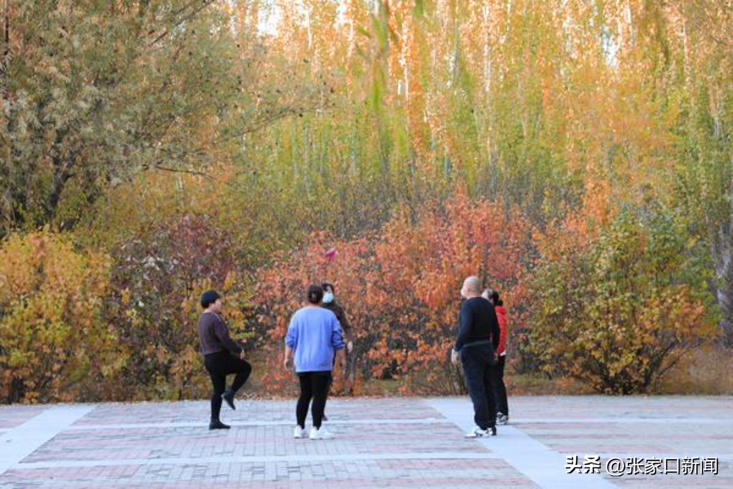 图说2022｜摄影记者镜头里的张家口这一年·陈飞