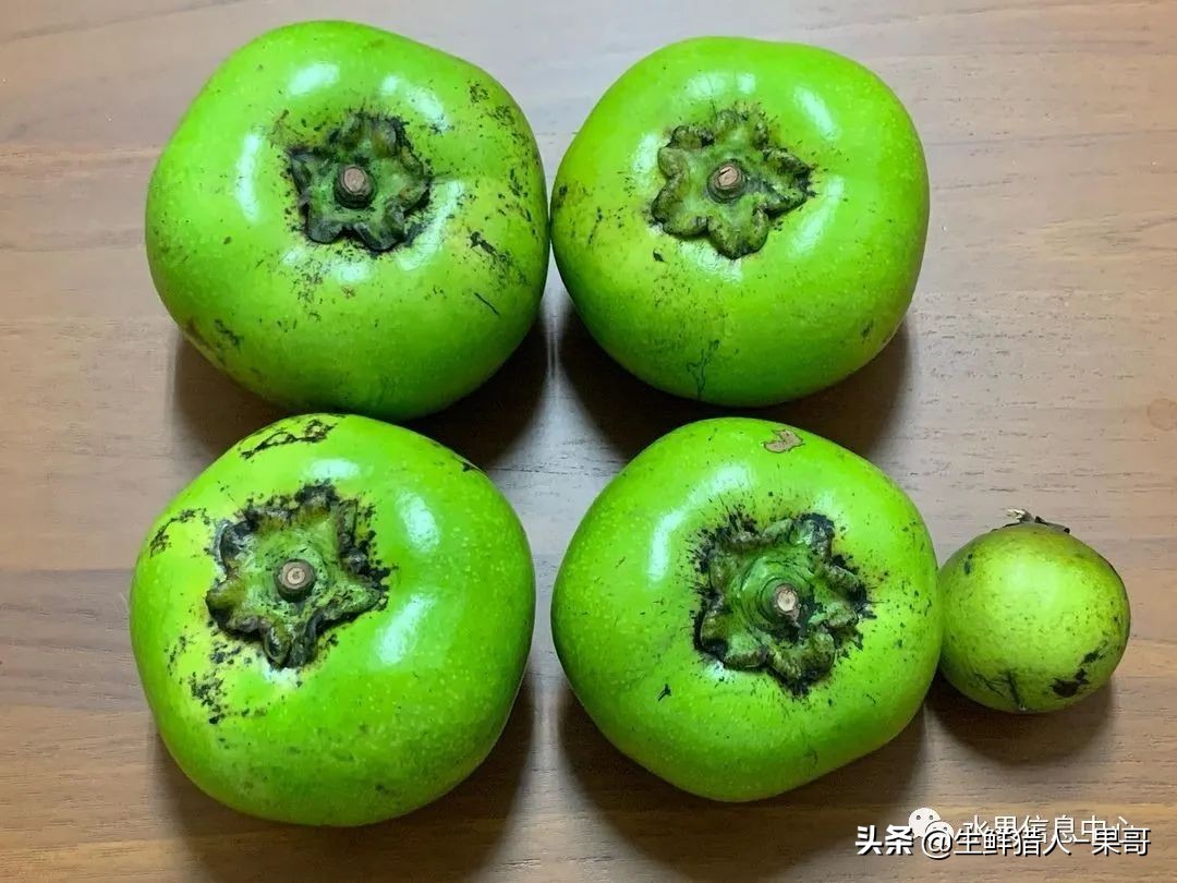#奇异水果知多少#椰柿、黄晶果、冰淇淋果、巧克力布丁果等