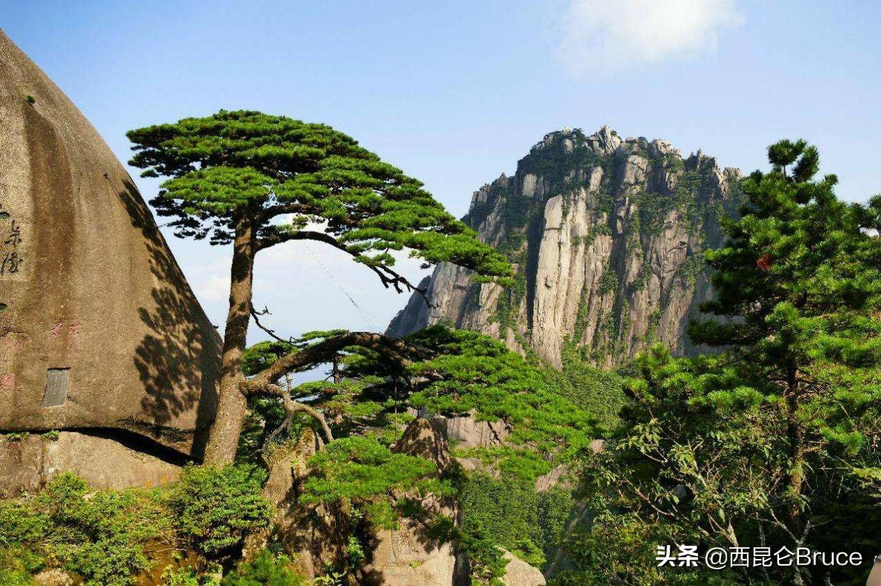 黄山首次发现侯刺猬,黄山风景区发现侯氏猬