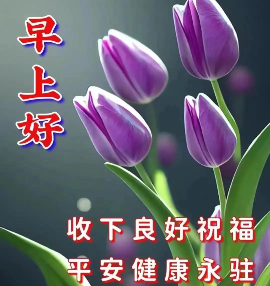 6月5日周一早安快乐！新的一天健康平安幸福安康图文