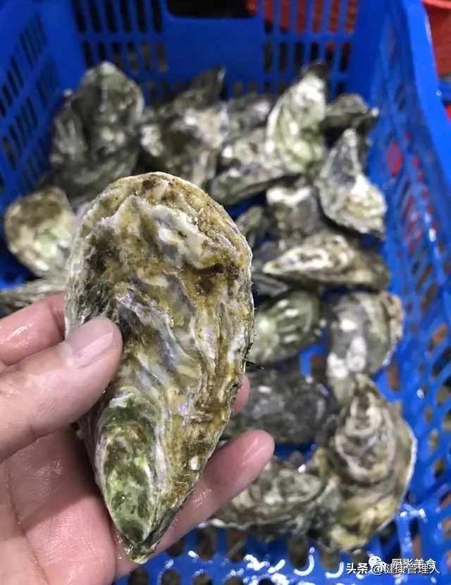 世界顶级海鲜食材,世界顶级的海鲜视频