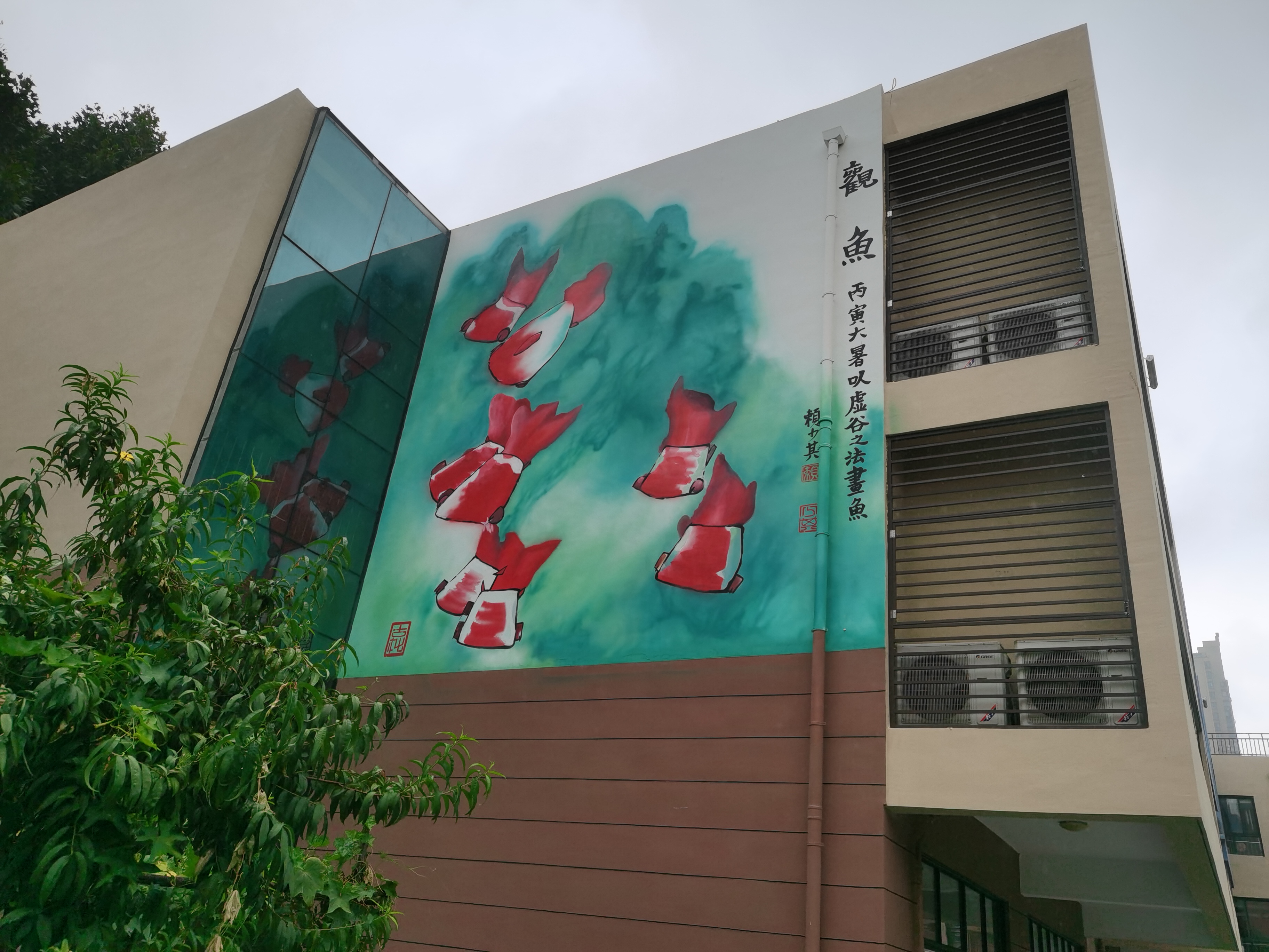 安徽合肥启明星幼儿园,合肥滨湖新幼儿园