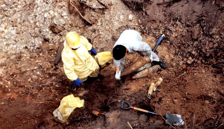 男子清明祭祖发现车辆显示有人,男子清明祭祖发现祖坟墓园被毁