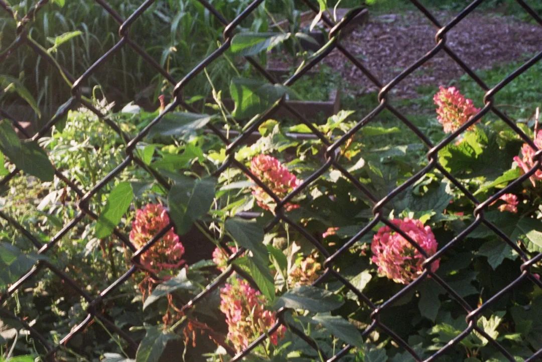 在pratt，班里12人，人人去游戏动画大厂