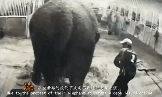 全网最近大事件,最大丑闻案件