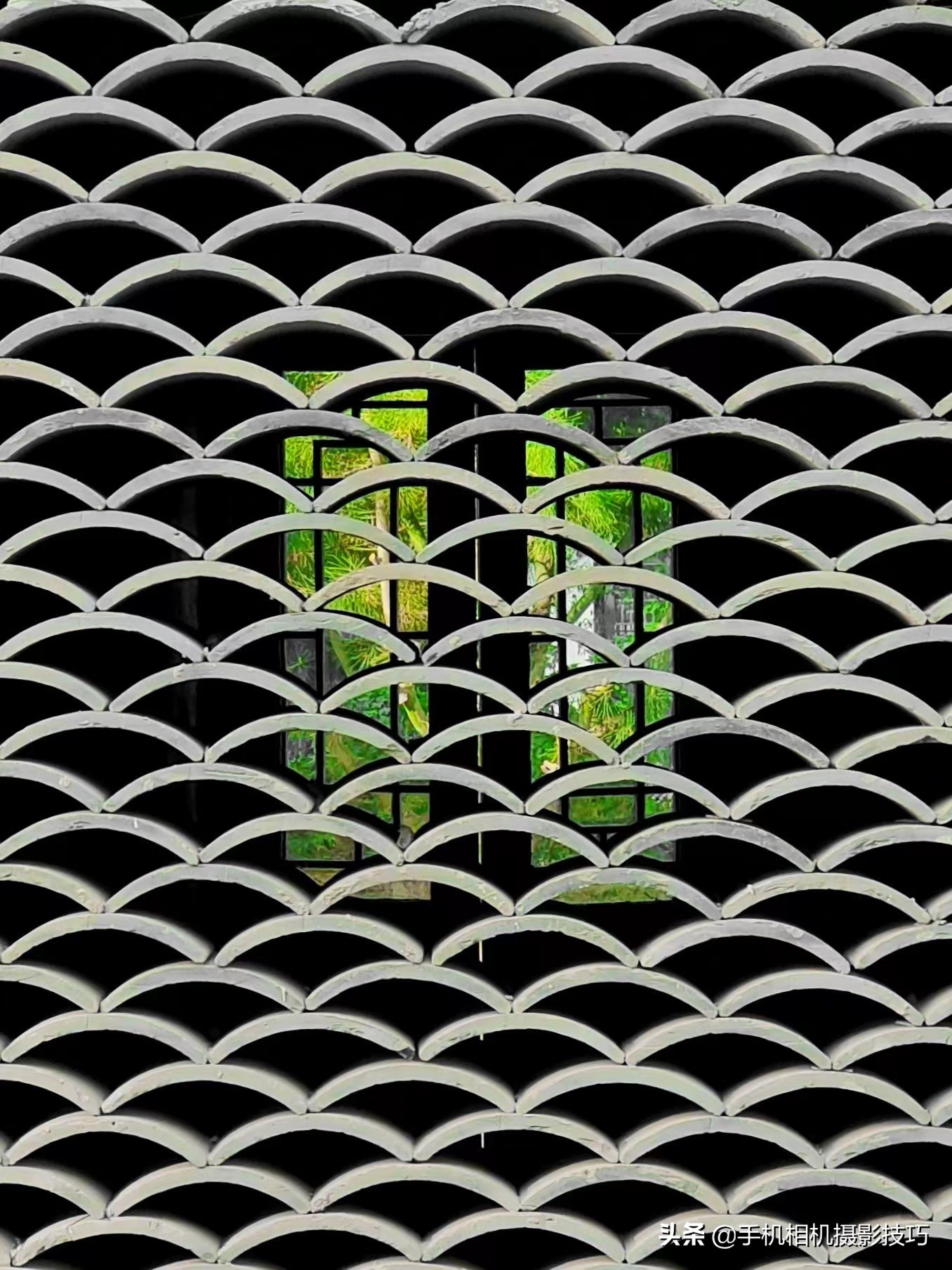 18组普通人拍出来的好照片：把不相关的东西拍到一起，效果很神奇