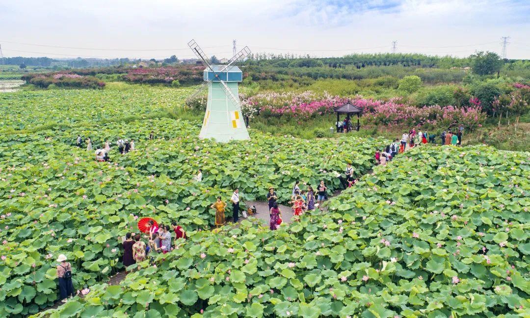 2022新洲文旅精彩不断，2023诗与远方步履不停