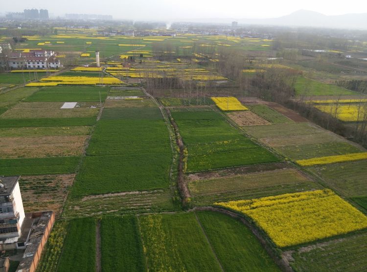 汉中最大三线厂汉江工具厂,汉中城固三线故事