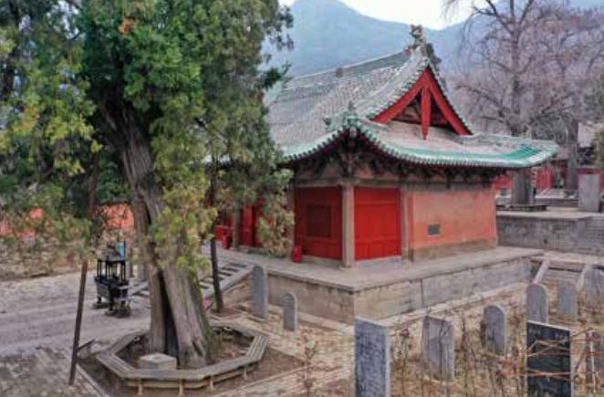 少林出名武术,少林武术天下第一