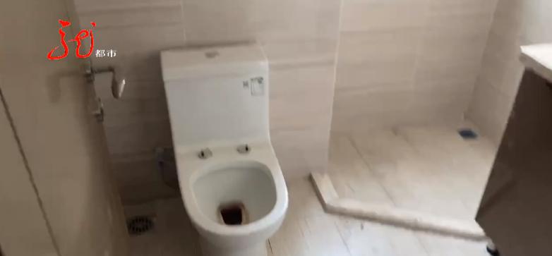 哈尔滨富力城三期精装修标准,哈尔滨富力城精装房问题