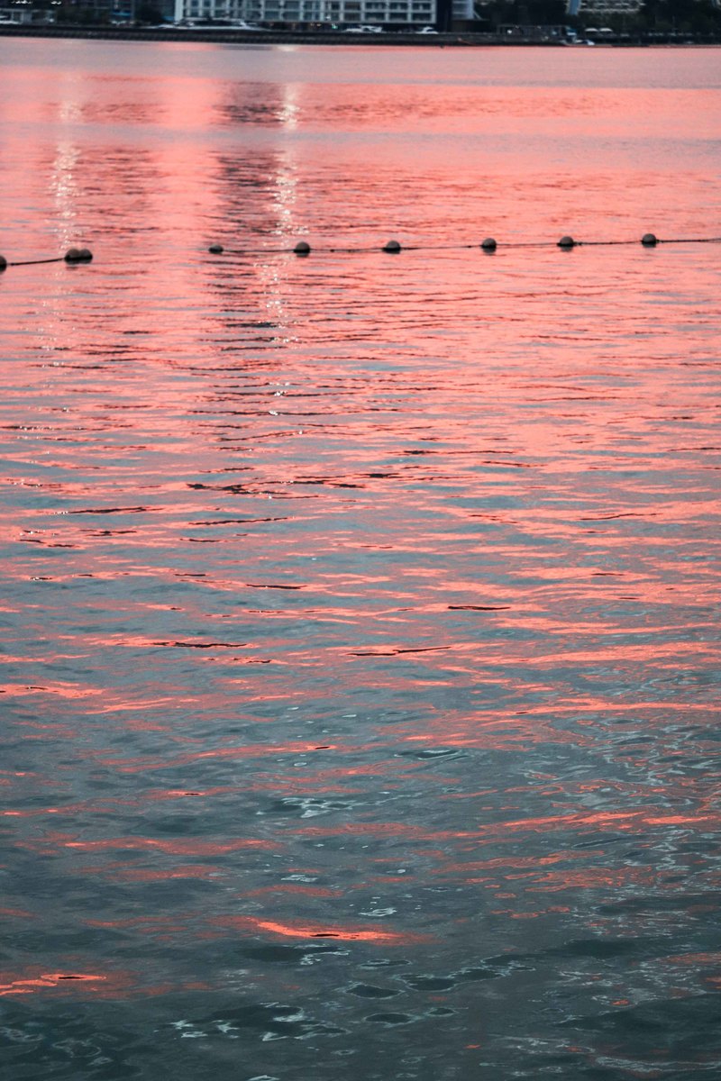 深圳ENJOY｜城市漫游指南·蛇口