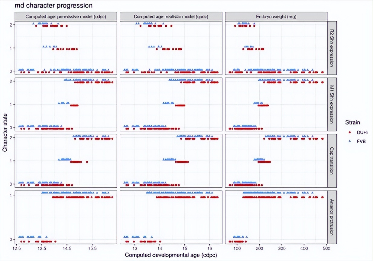 基于小鼠磨牙进化演变，研究其发育变异性通道的进化过程