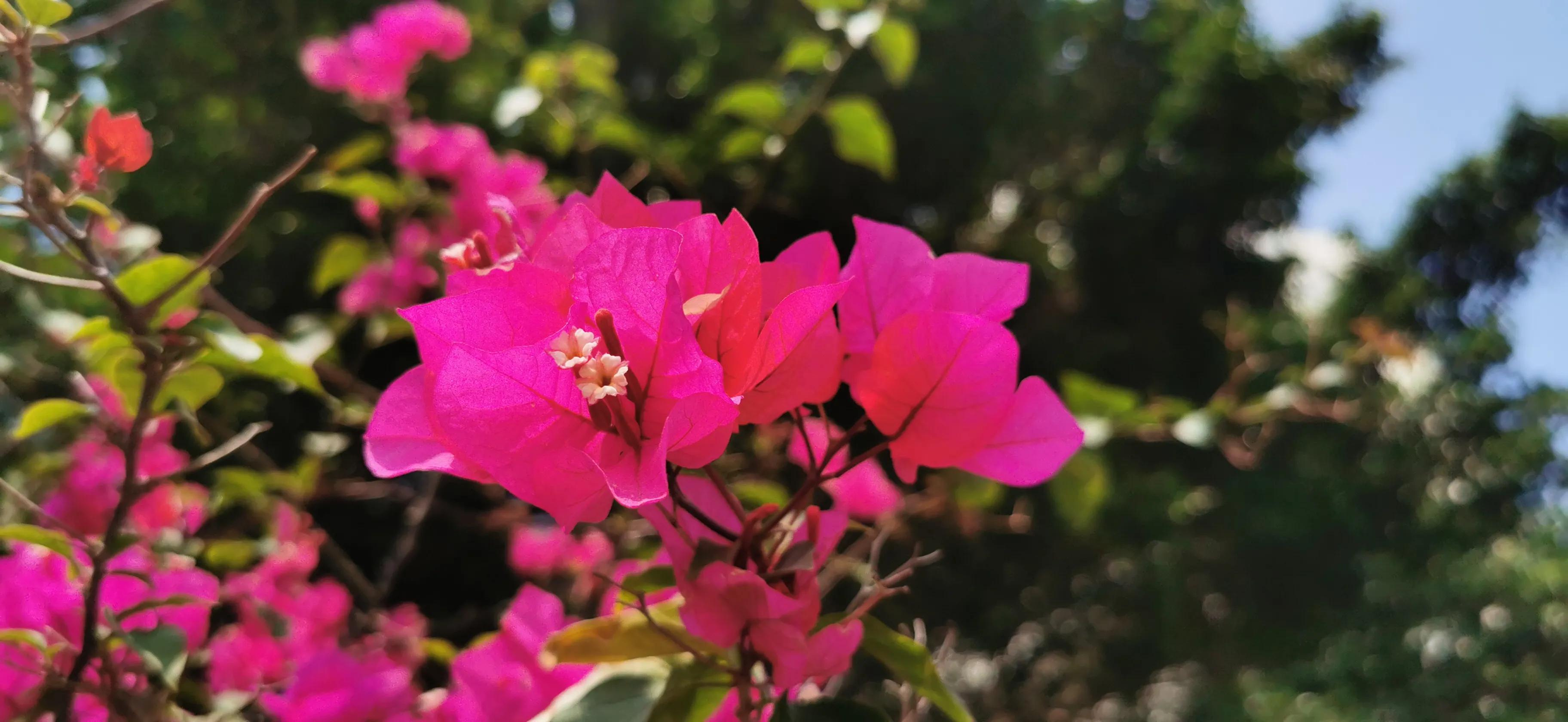 两人自驾装备,两人一车带什么装备