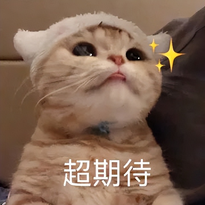 国外大牌成“上门女婿”，这些国货集团出息咯！