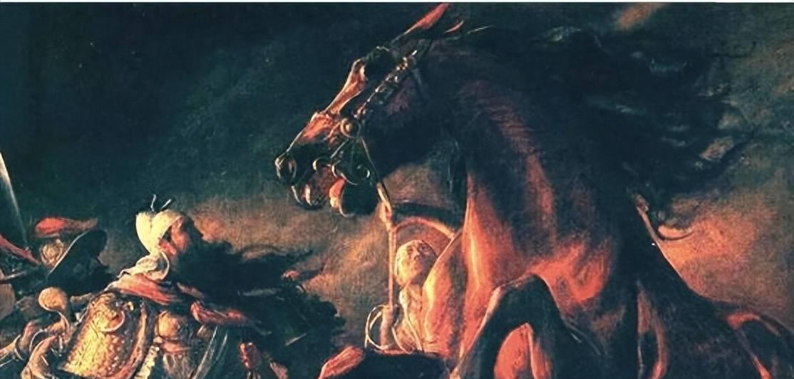 吃马肉有什么好处高清图,吃马肉好不好